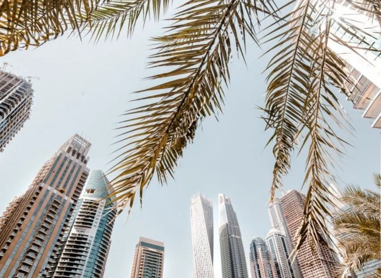 Palm leaves against the towers of the Dubai skyline